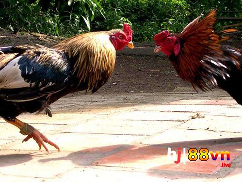 Phim Thương Ngày Nắng Về Vtv Go Khám Phá Thế Giới Giải Trí Trực Tuyến Đỉnh Cao